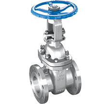 ANSI Flanged Gate Valve